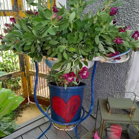 Homestay Sailaway Carbis Bay